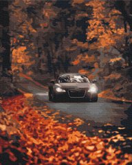 Картина по номерам: Осенняя дорога фото 1