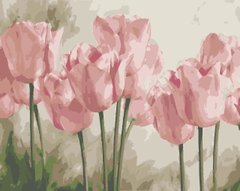 Картина по номерам: Нежные тюльпаны фото 1