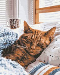Картина за номерами: Ранковий котик зображення 1