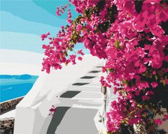 Картина по номерам: Цветы Санторини фото 1