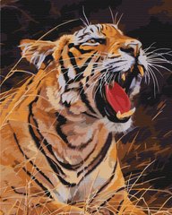 Картина по номерам: Рычание тигра фото 1